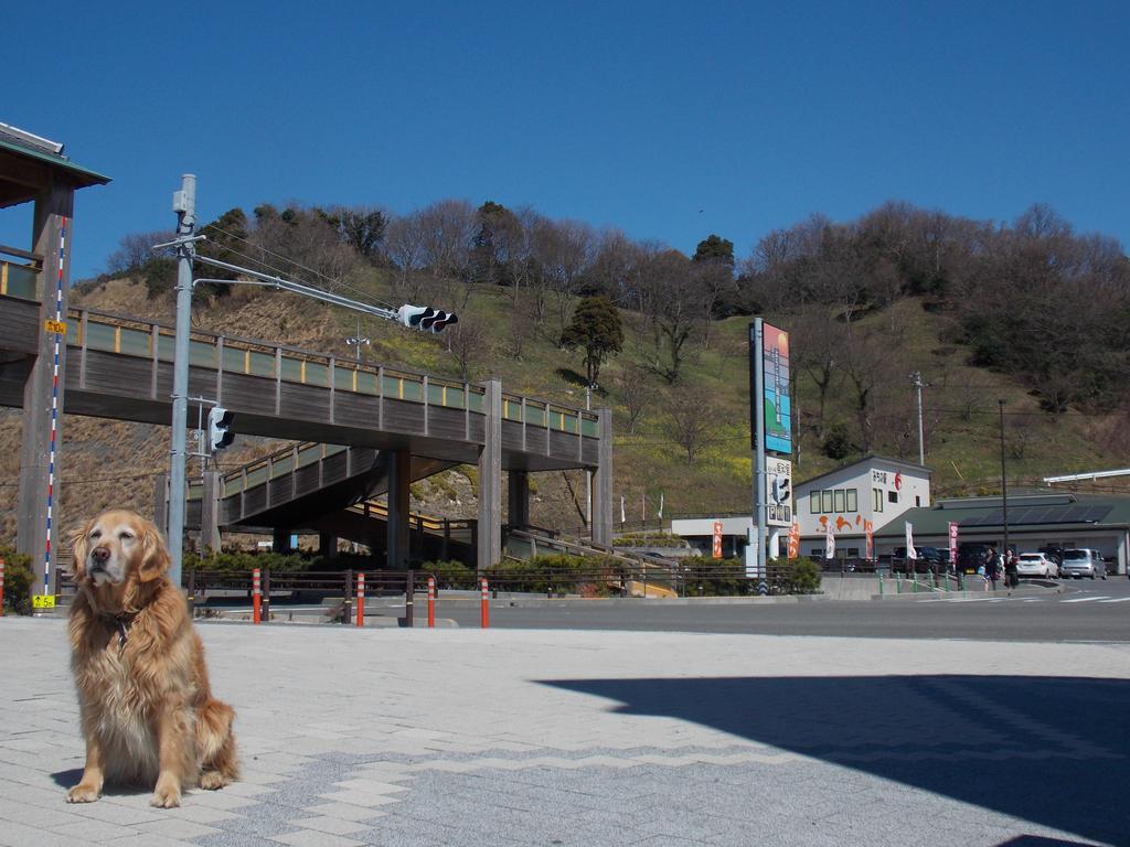 Hojo Suigun Youth Hostel Matsuyama  Esterno foto